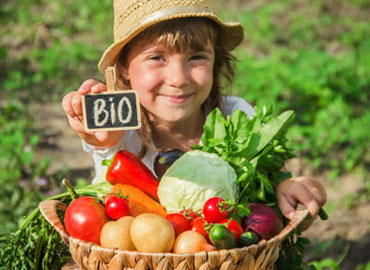 Légumes biologiques