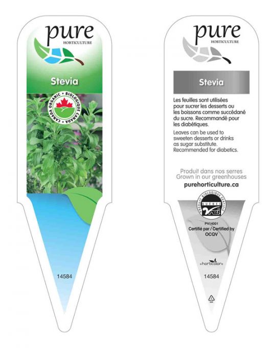 stevia