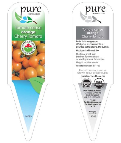 Tomate cerise orange