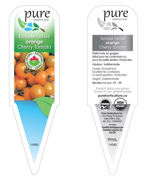 Tomate cerise orange